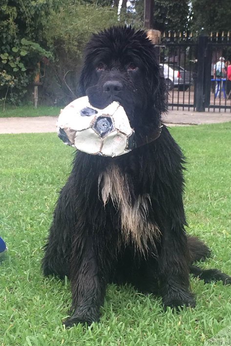 Фотография № 168480