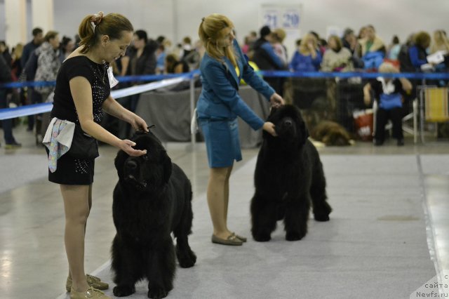 Фотография № 168488