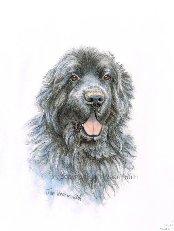 Фотография № 168516