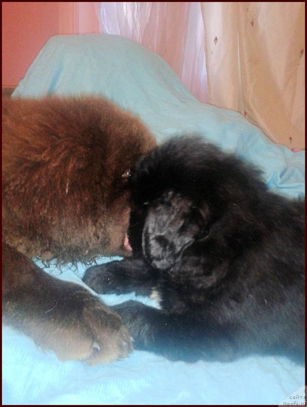 Фотография № 168568