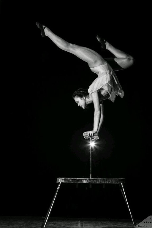 Фото: ньюфаундленд Русская Красавица Нюра