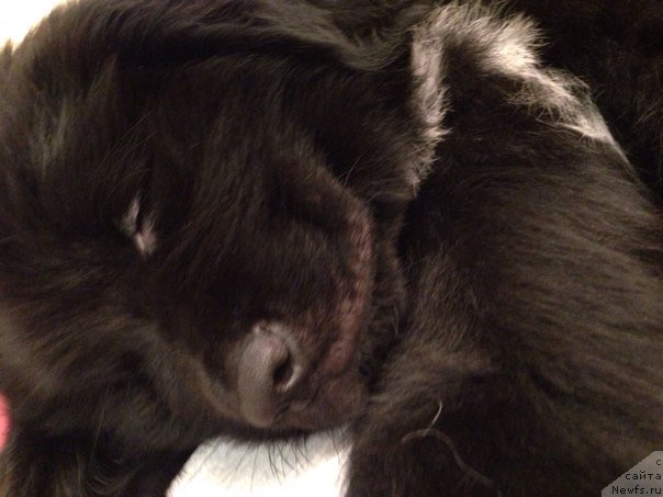 Фотография № 168585