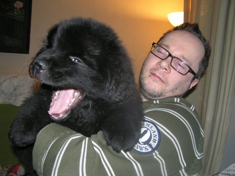 Фото: ньюфаундленд Былинная Марфа с Берега Дона (Bylinnaya Marfa s Berega Dona)