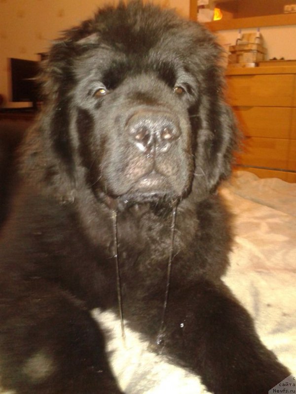 Фотография № 168591