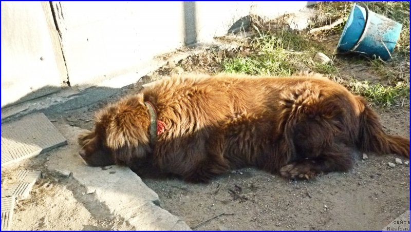 Фотография № 168713