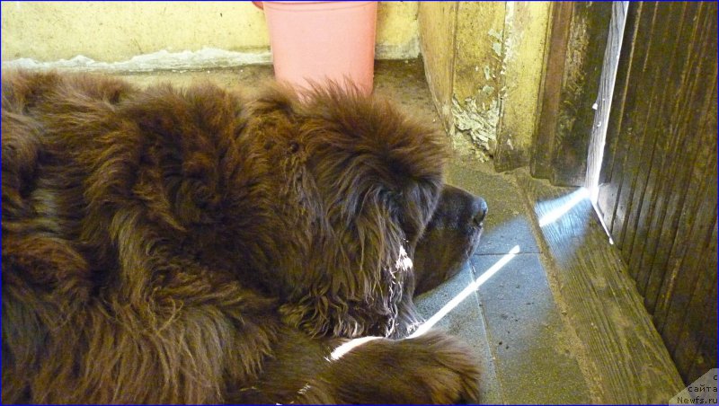 Фотография № 168714