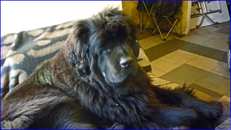 Фотография № 168716