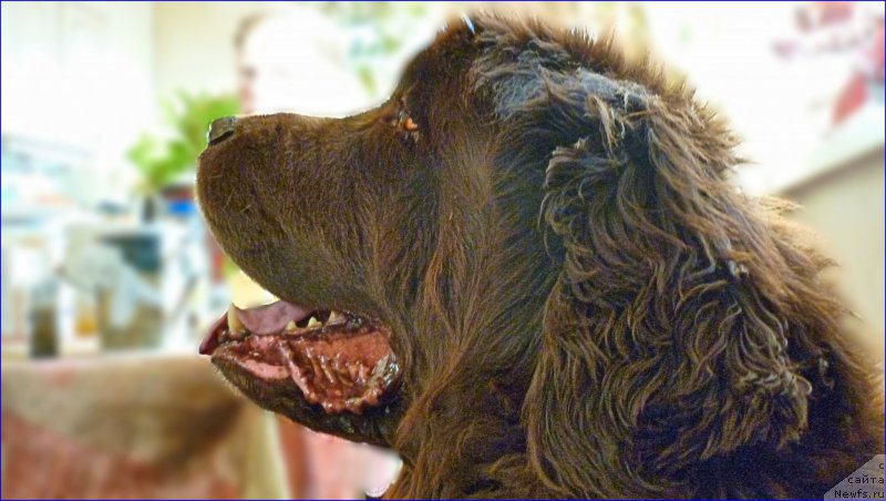 Фотография № 168718