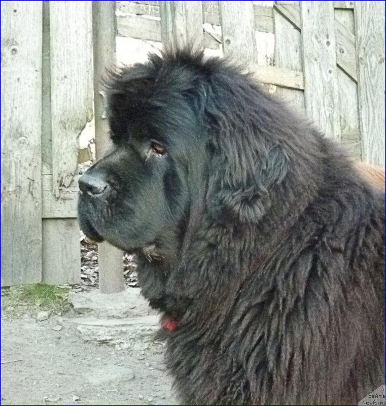 Фотография № 168720