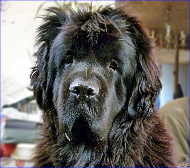 Фотография № 168722