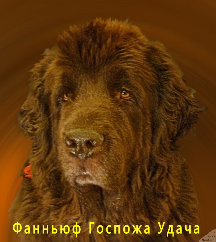 Фотография № 168724