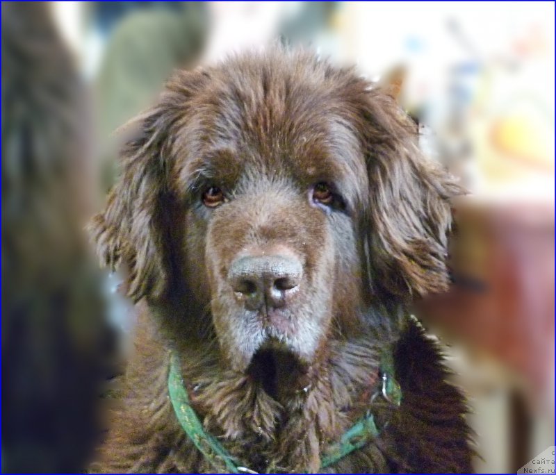 Фотография № 168726