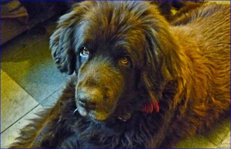 Фотография № 168727