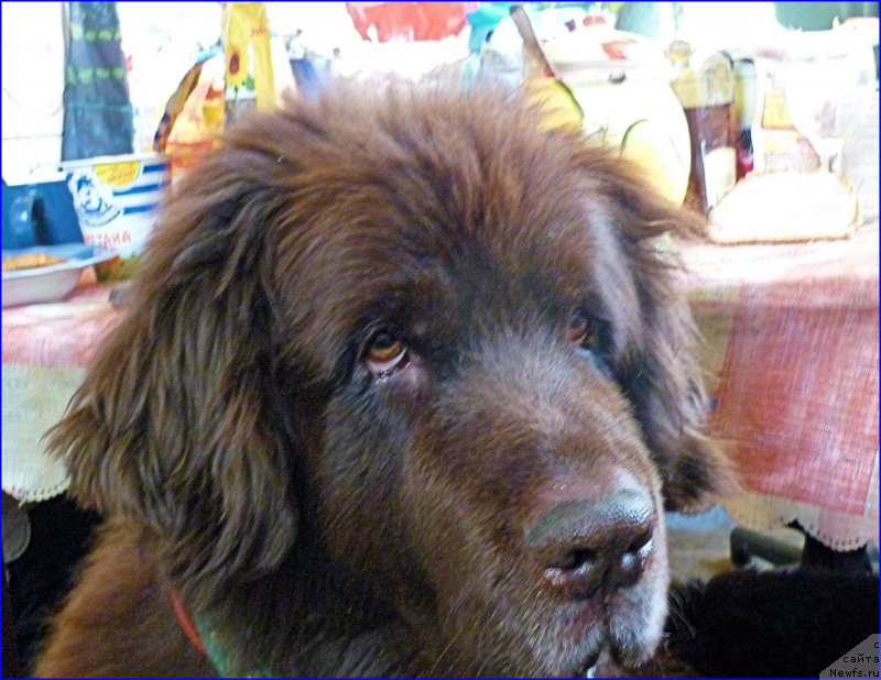 Фотография № 168728