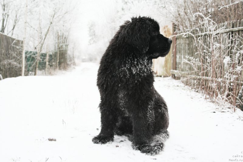 Фотография № 168734