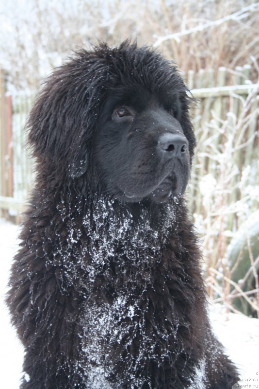 Фотография № 168736