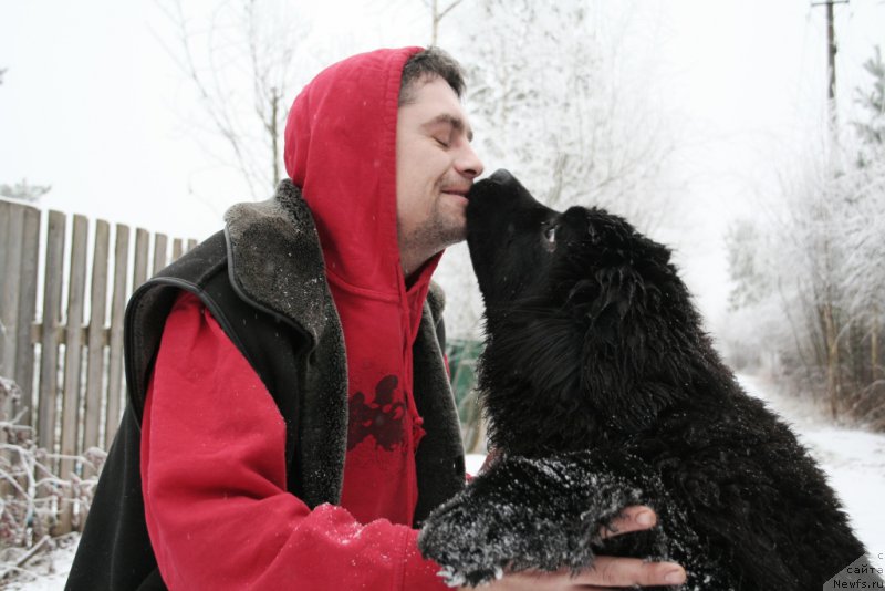 Фотография № 168738