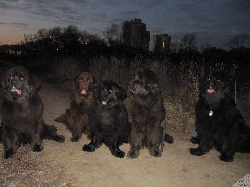 Фотография № 168770