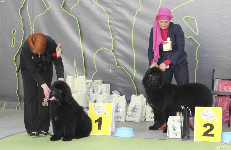 Фотография № 168775