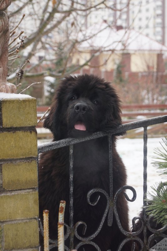 Фотография № 168776