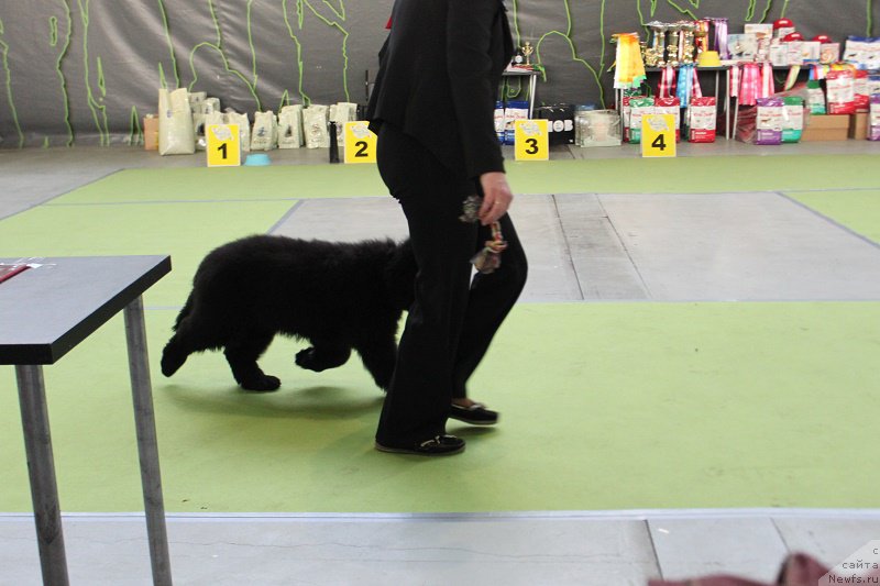 Фотография № 168778