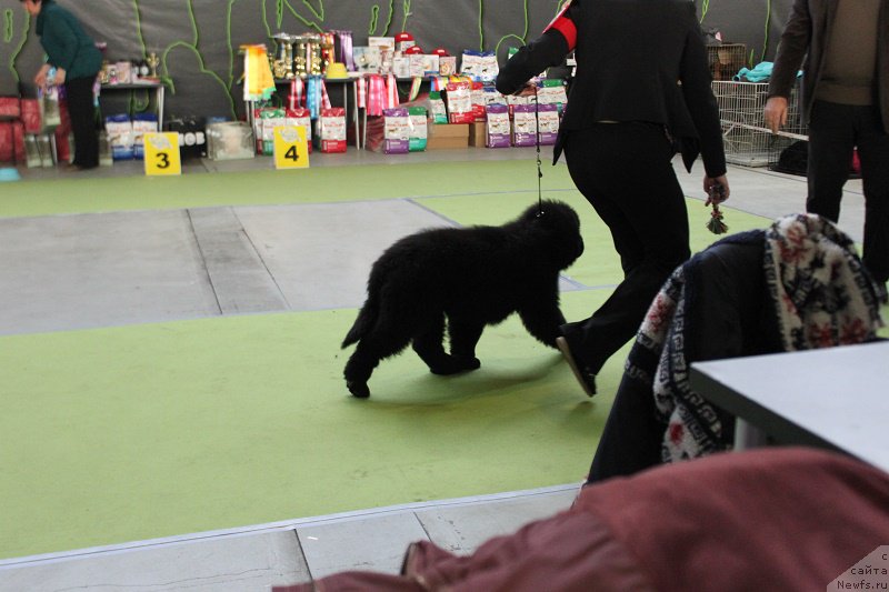 Фотография № 168779