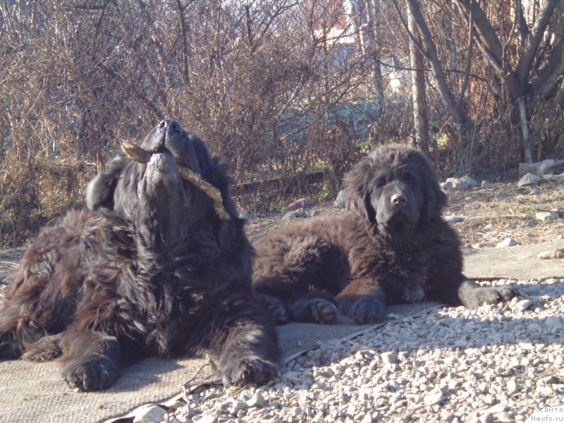 Фото: [d5342]и Викториус Смайл-любимая внучка