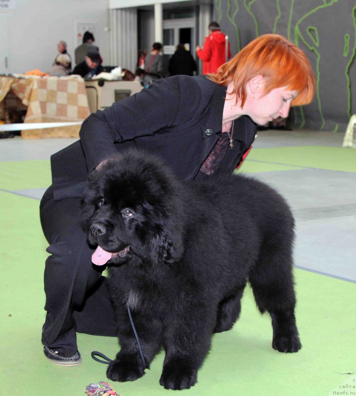 Фотография № 168781