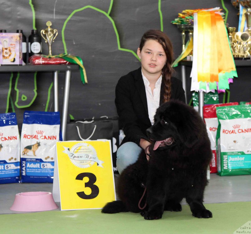 Фотография № 168782