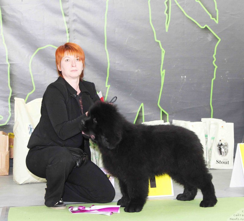 Фотография № 168783