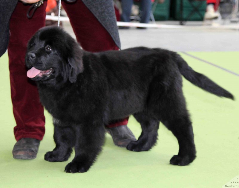 Фотография № 168784