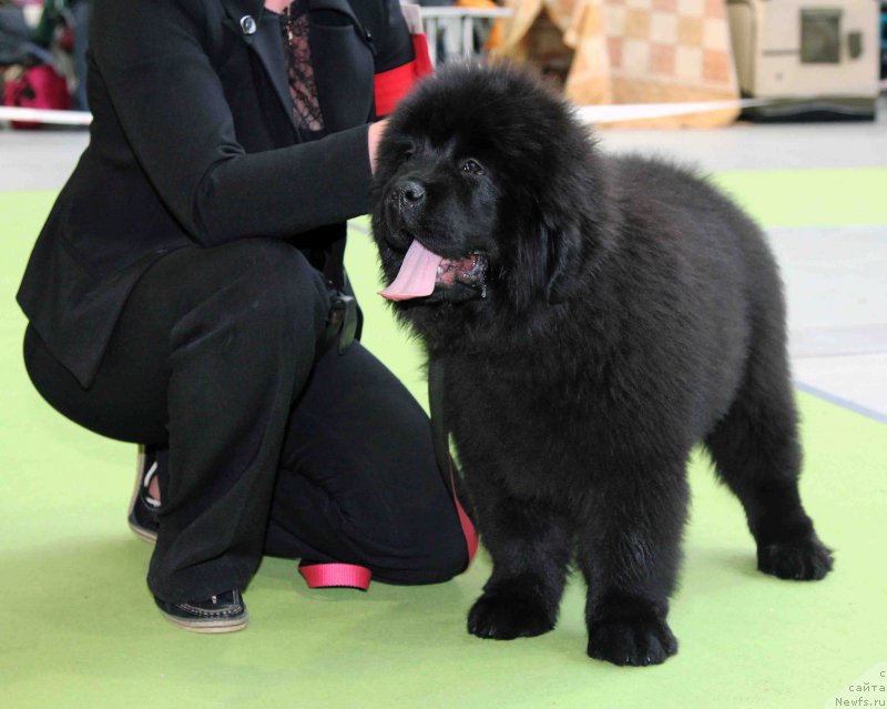 Фотография № 168786