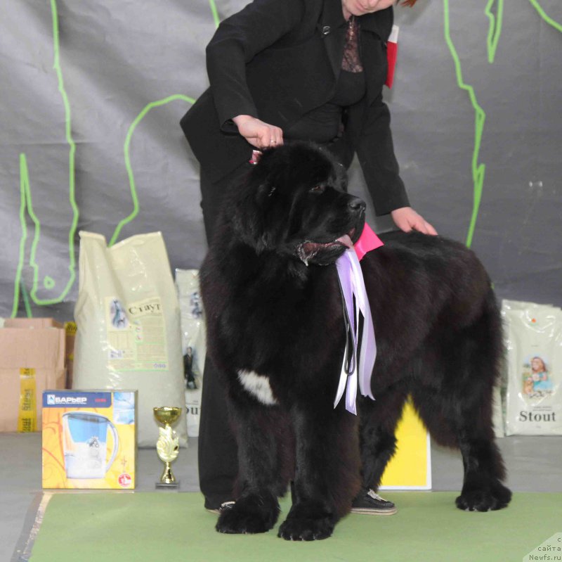 Фотография № 168790