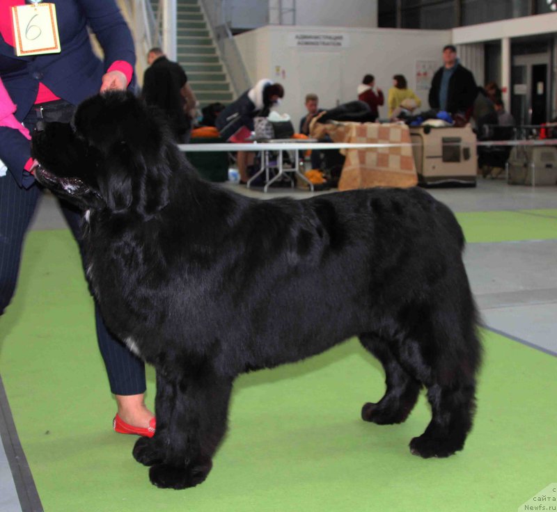 Фотография № 168793