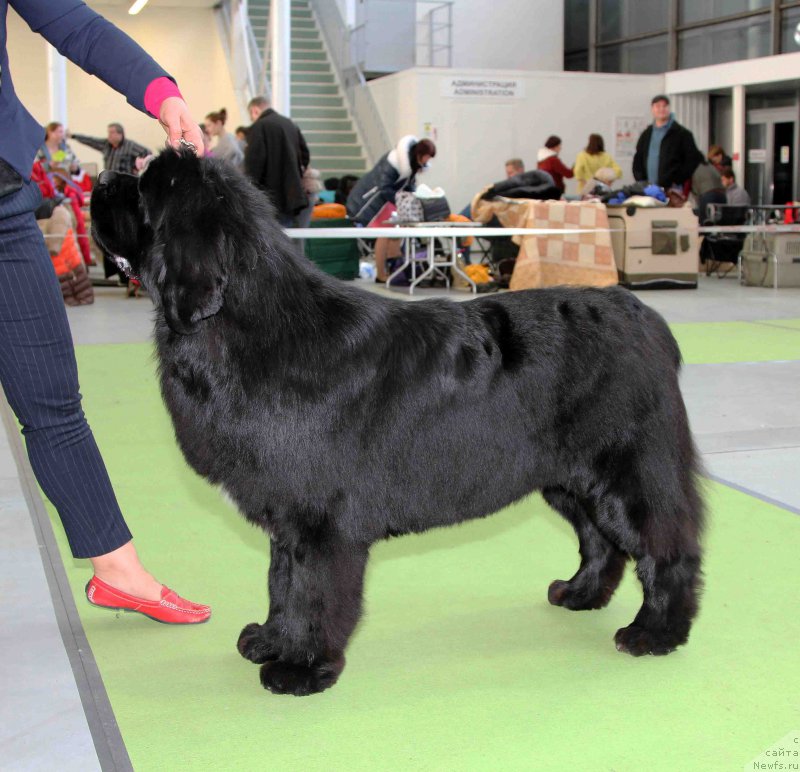 Фотография № 168794