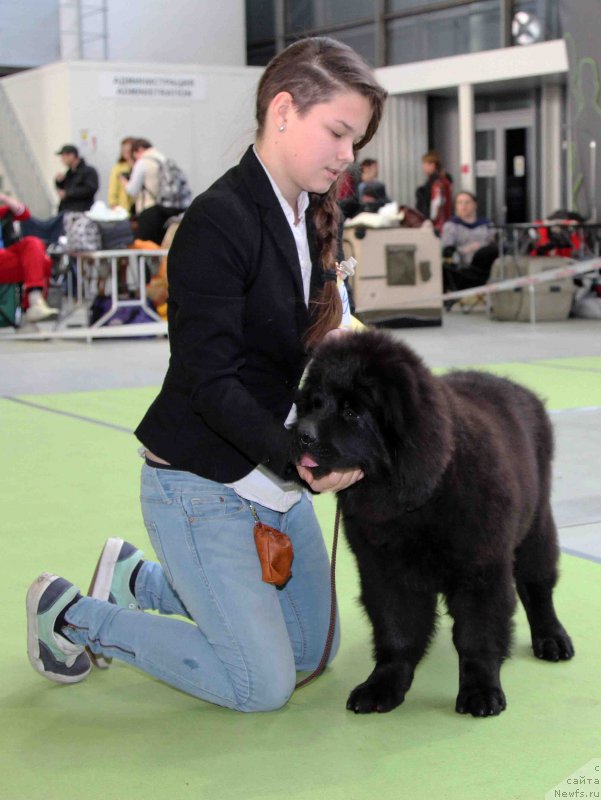 Фотография № 168802