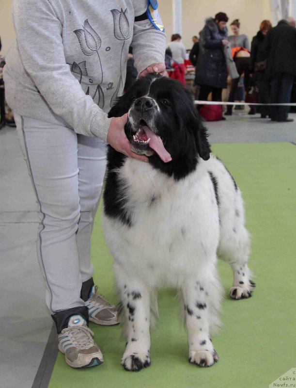 Фотография № 168805