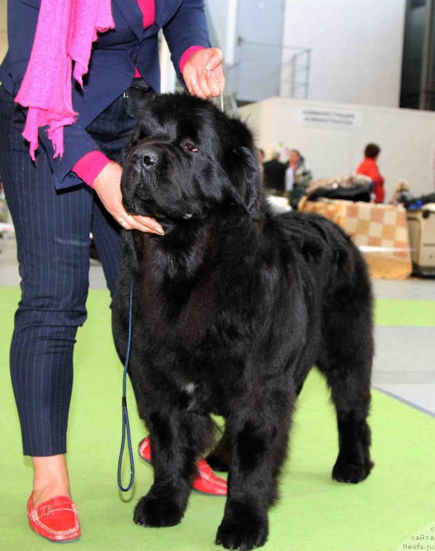 Фотография № 168806