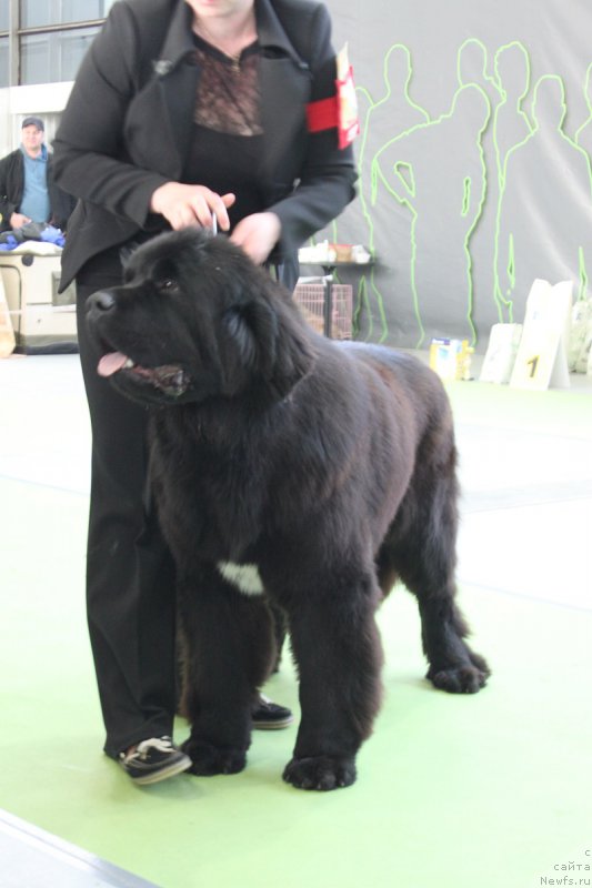 Фотография № 168827