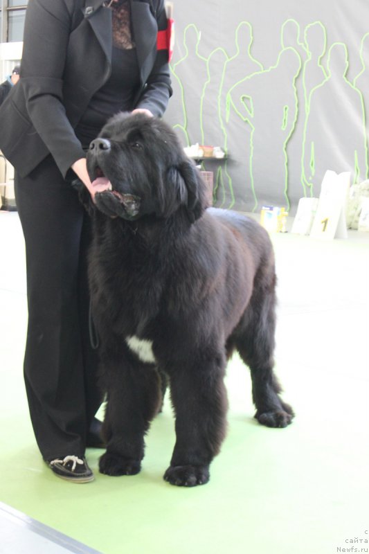 Фотография № 168828