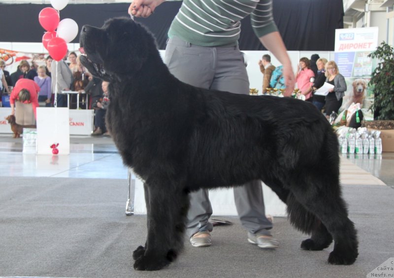 Фотография № 168837