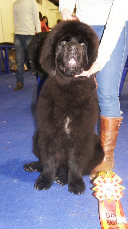 Фотография № 168853