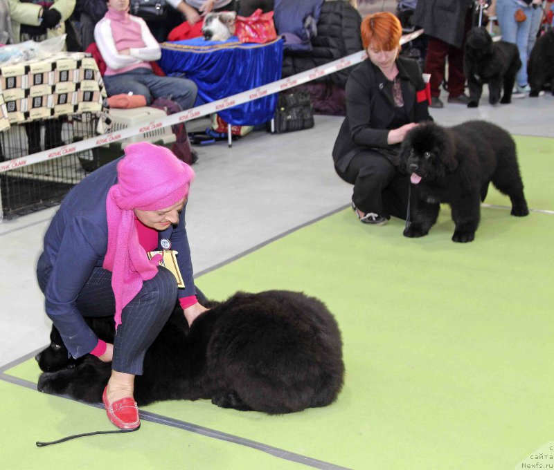 Фотография № 168854