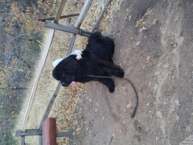 Фотография № 168861