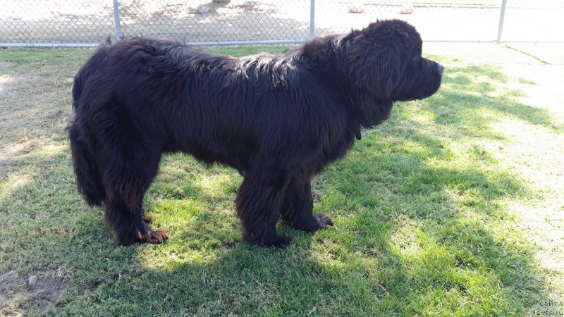 Фотография № 168863