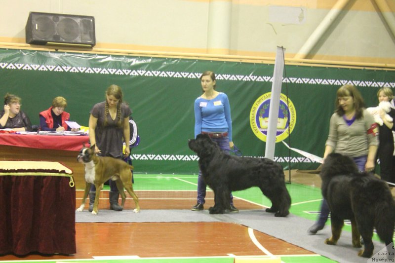 Фотография № 168865