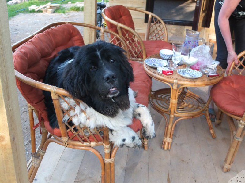 Фотография № 168882