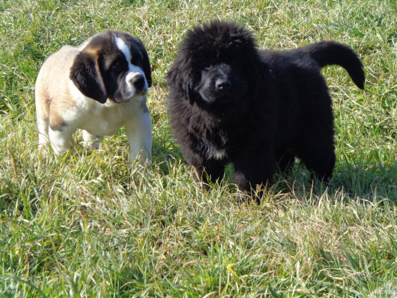 Фото: [d13906]и друг Леха