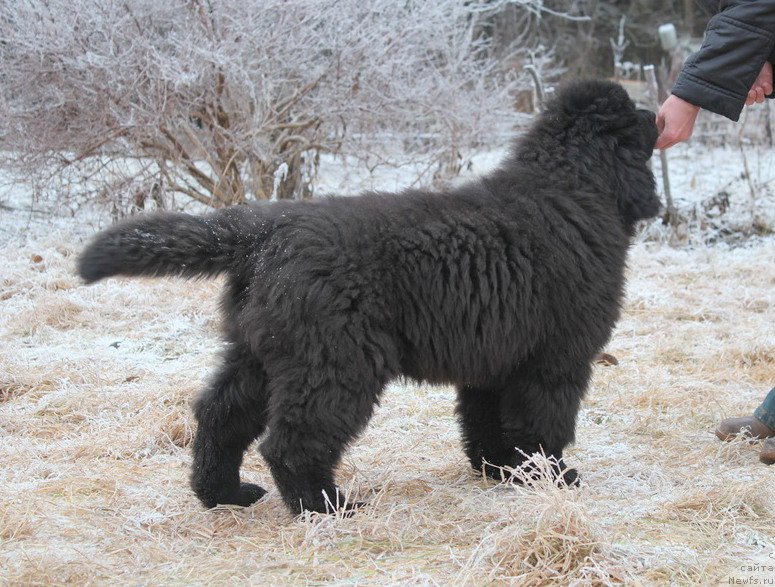 Фотография № 168914