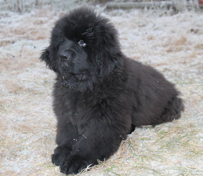 Фотография № 168915